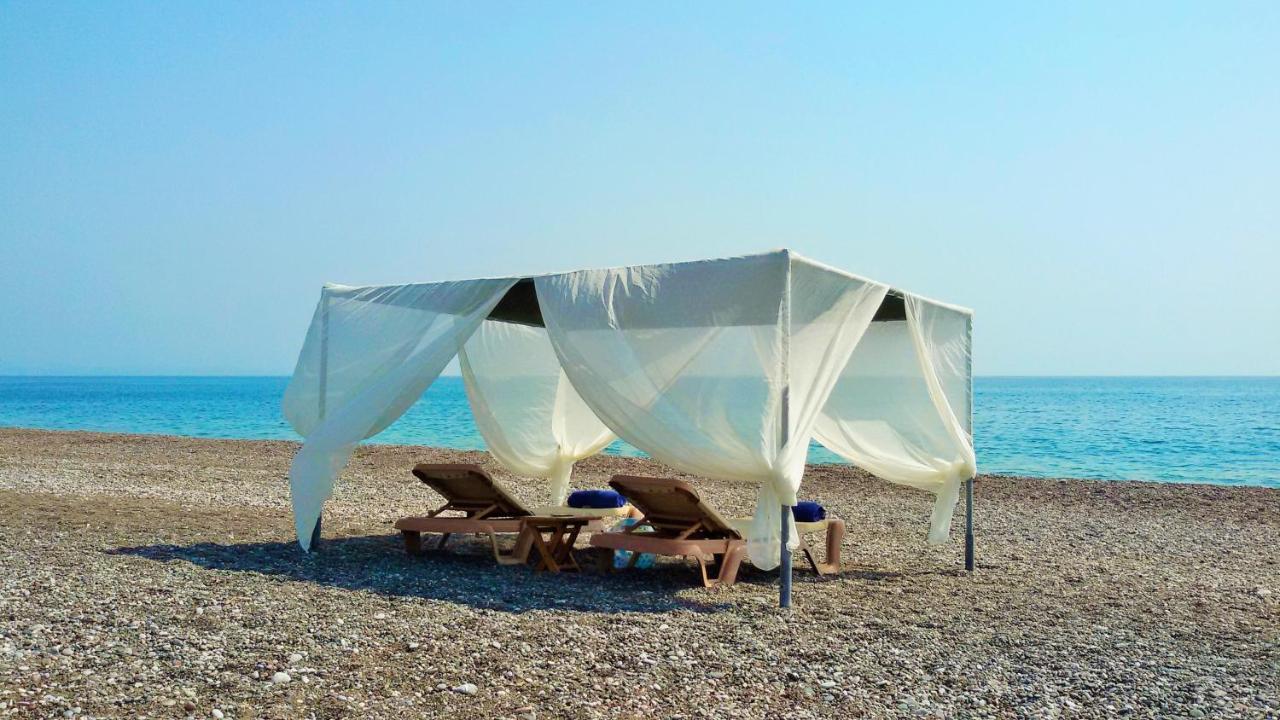 Beachfront Seashell Superior * Gennadi