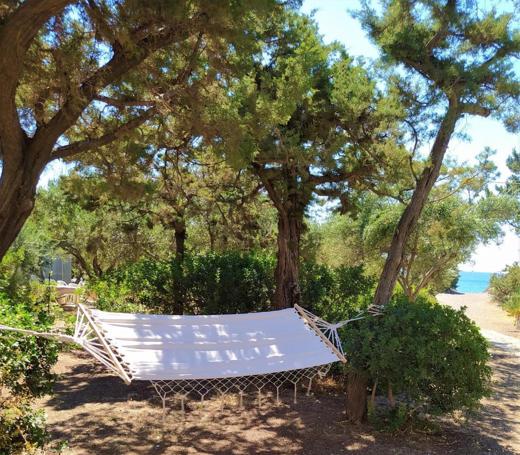 Villa Beachfront Seashell Superior Gennadi