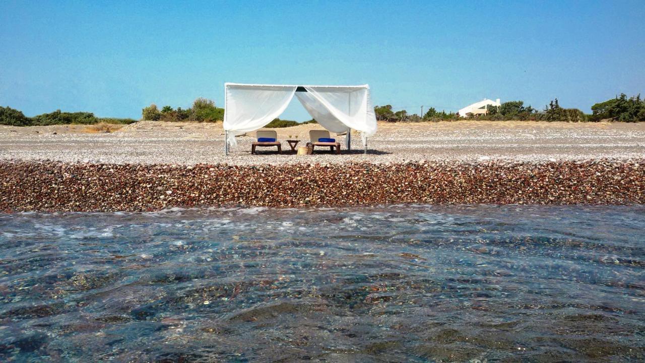 Beachfront Seashell Superior Gennadi